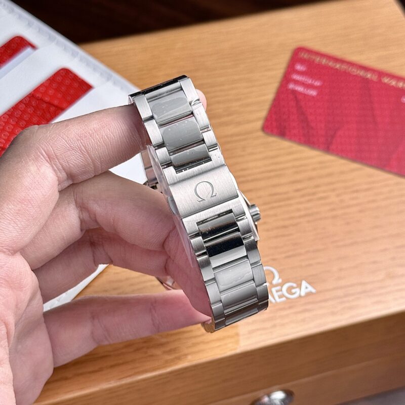 Omega seamaster Aqua terra 41 mm